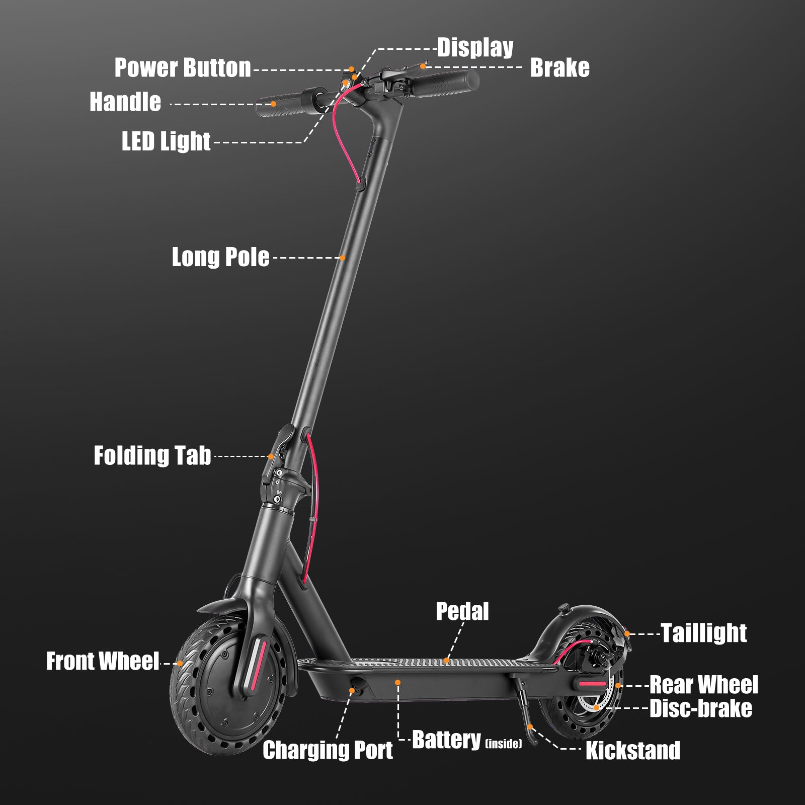 Rydex Sport Pro Electric Scooter - Summer Sale