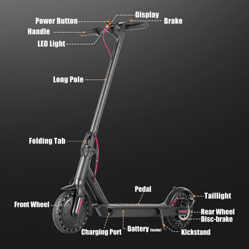 Rydex Sport Pro Electric Scooter - Summer Sale