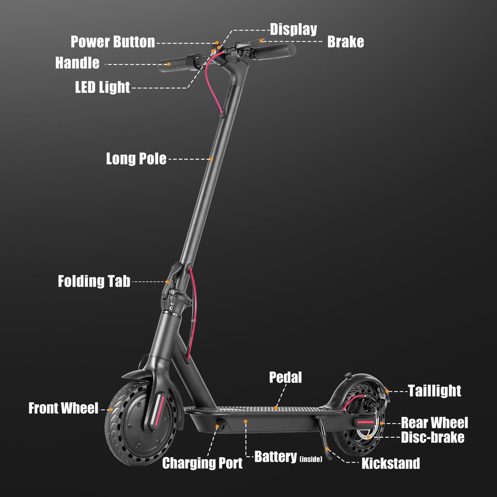 Rydex Sport Lite Electric Scooter - Summer Sale